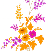 Flower0 2