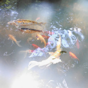 IMG 20140525 133237 673