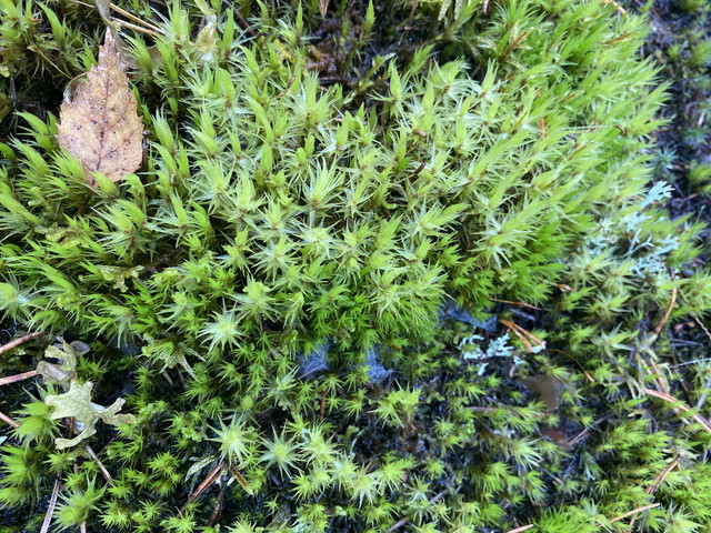 157914-AA-B22-D-47-C2-BEBF-3693882-EFF4-