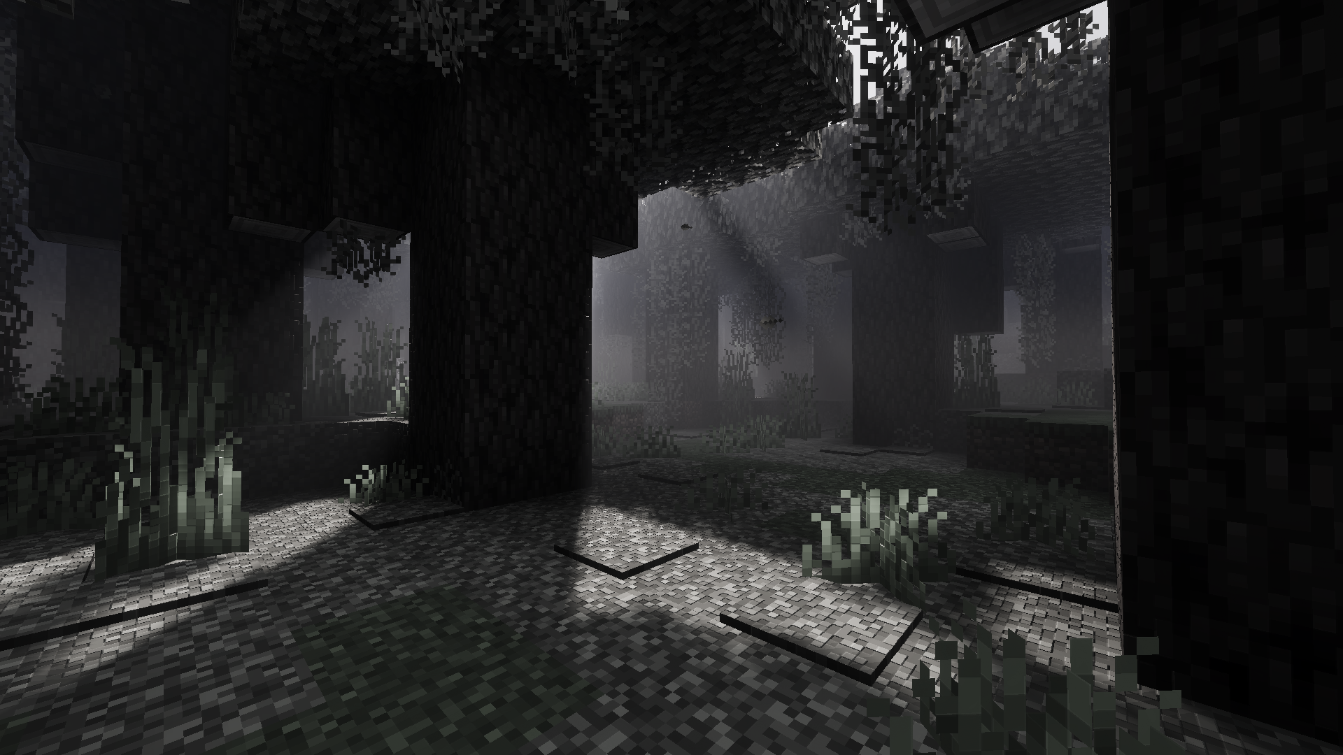Dark Forest Godrays