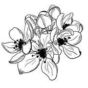 shutterstock 2292125497
