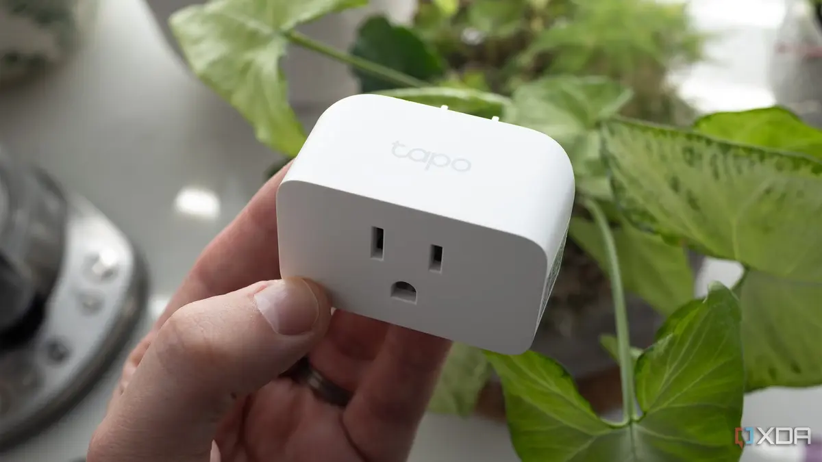 Local Zigbee Networks Outshine Matter in Smart Homes