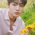 chan a c e 1185682