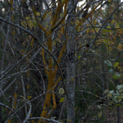 DSC7500-result