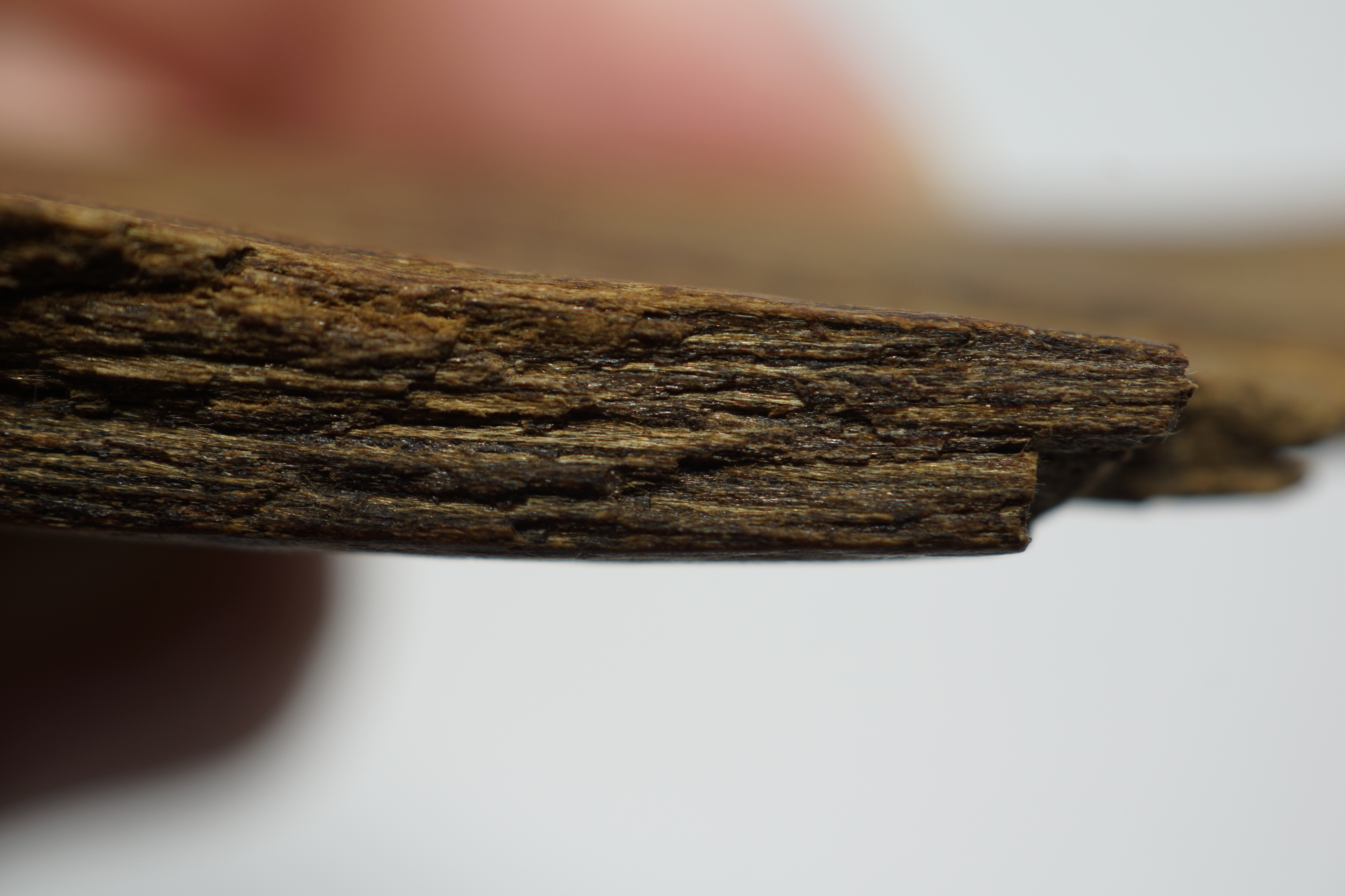 [Ouddict.com] Oud Photos