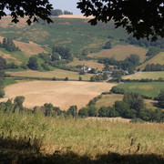 IMGP0235