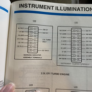IMG-0118