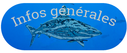 infos-gen.png