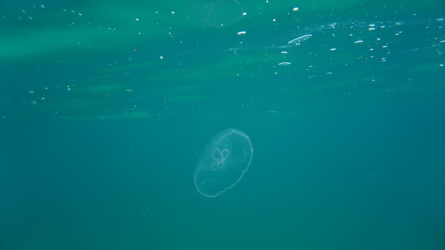 DSC03181