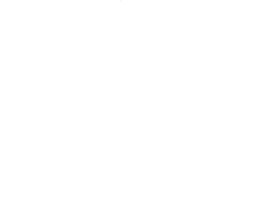 Server Logo