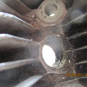 IMG-5445