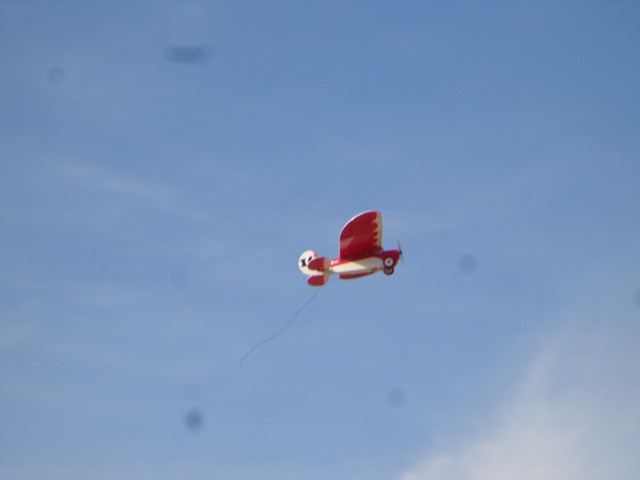 DSC00567.jpg