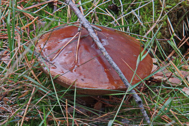 PA010140