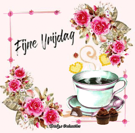 4.gif