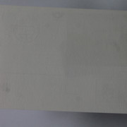 IMG-5068