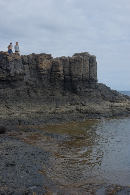 DSCF8596.jpg