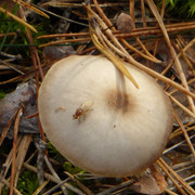 P1130659