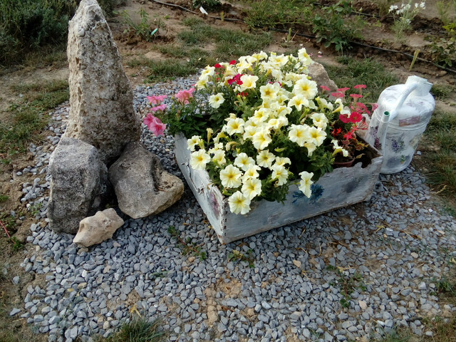 IMG 20170722 193723