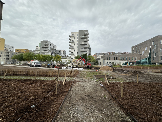 IMG-8110