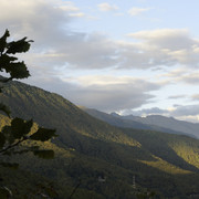 DSC7125