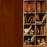 libreriabur1