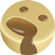 Flan