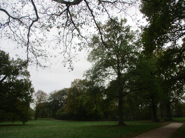 IMG-4339