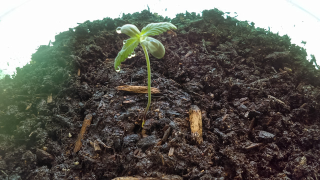 IMAG0043