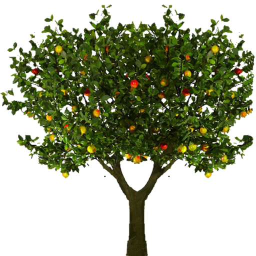 Alphaappletree-zpsrysuvf3w.png