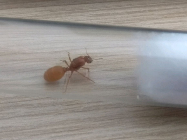 IMG 20180507 WA0041