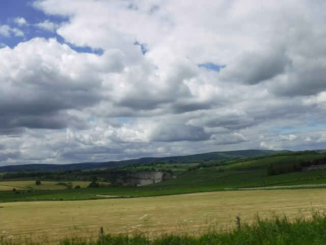 DSCF6065.jpg