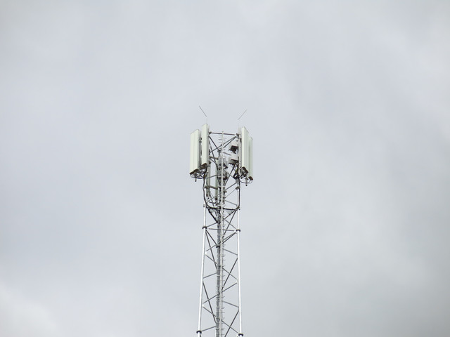 IMG-3099