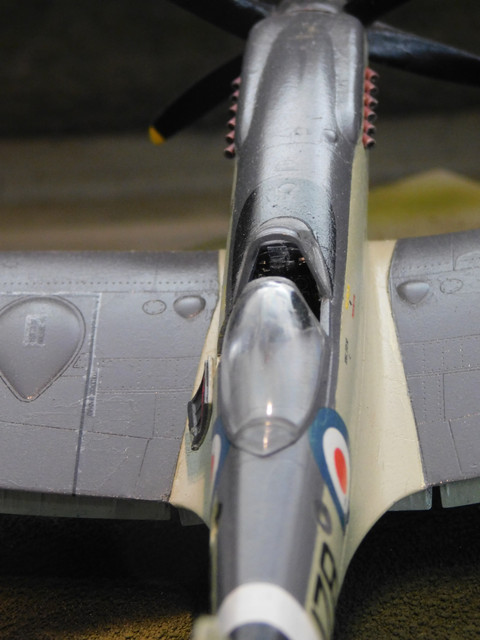 DSCN1472.jpg