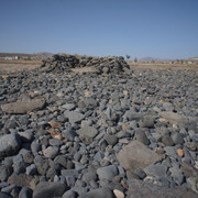 DSC01013