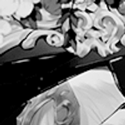 Mirror-Icon5