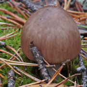 PA010149