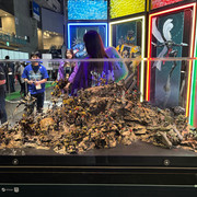 IMG 6180