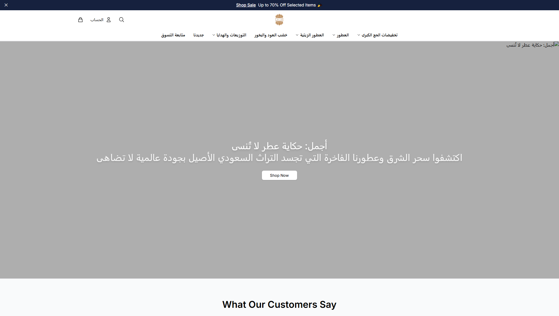 Stored capture of ajmalhq.shop