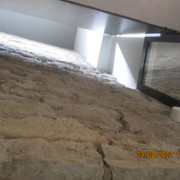 IMG-0838