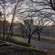 IMG-20240331-061644