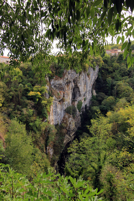 IMG-9638.jpg