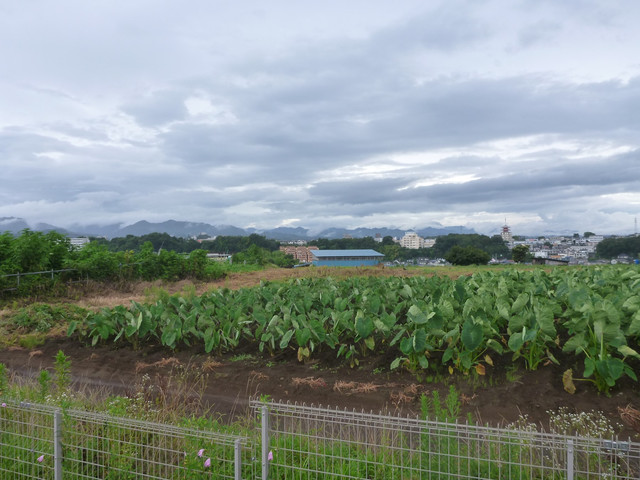 P1330485