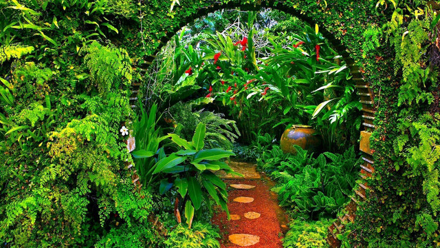 wp4571956-amazon-forest-wallpapers