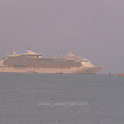 IMG-2631