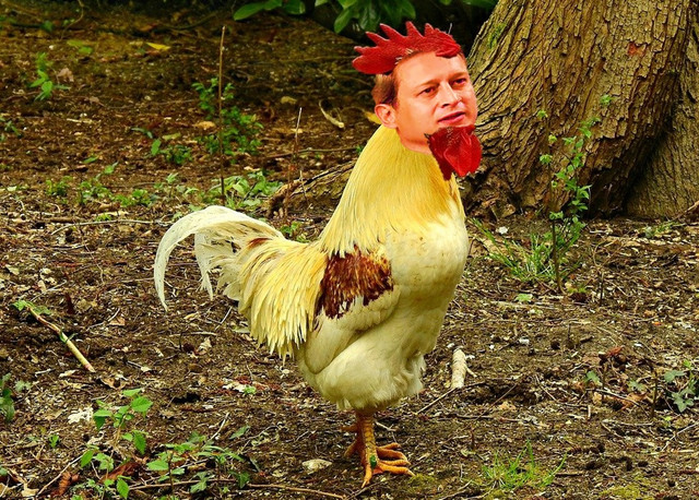A1231.jpg