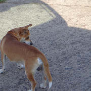 DSC00837