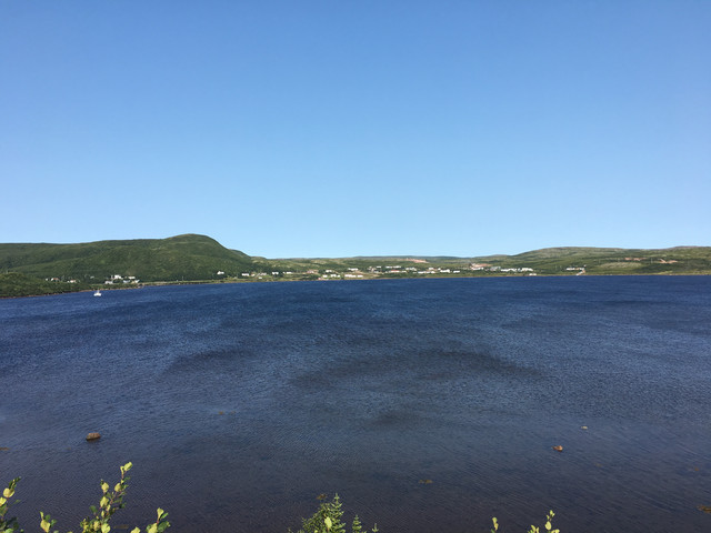 IMG 3604
