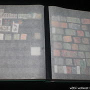IMG-2481