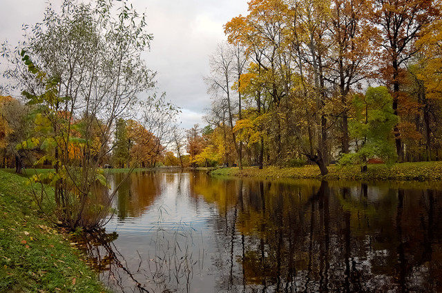 DSCF1799.jpg