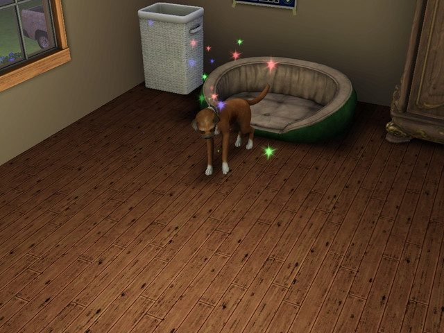 Screenshot-230